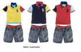 Conjunto Pollo 02